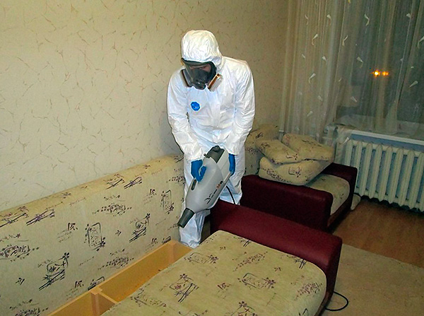 Чем следует морить клопов в квартире: обзор надежных средств и полезные советы Чем следует морить клопов в квартире: обзор надежных средств и полезные советы