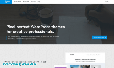 Как выбрать тему WordPress: полное руководство для начинающих Как выбрать тему WordPress: полное руководство для начинающих