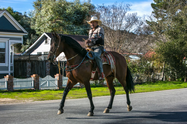 Путешествие в Калифорнию