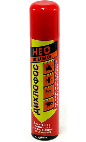 Об особенностях уничтожения клопов и тараканов Об особенностях уничтожения клопов и тараканов