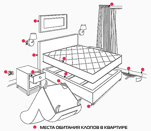 Об особенностях уничтожения клопов и тараканов Об особенностях уничтожения клопов и тараканов