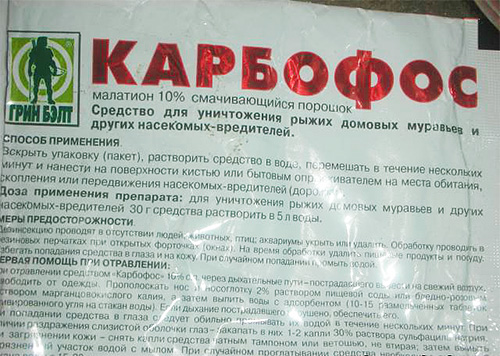 Об особенностях уничтожения клопов и тараканов Об особенностях уничтожения клопов и тараканов