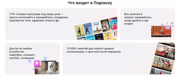 Знакомьтесь, Еживика: ваша верная напарница на платформе Живи! Знакомьтесь, Еживика: ваша верная напарница на платформе Живи!